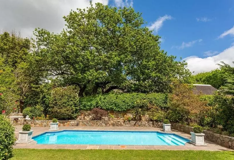 ペンション Alphen Lodge Constantia