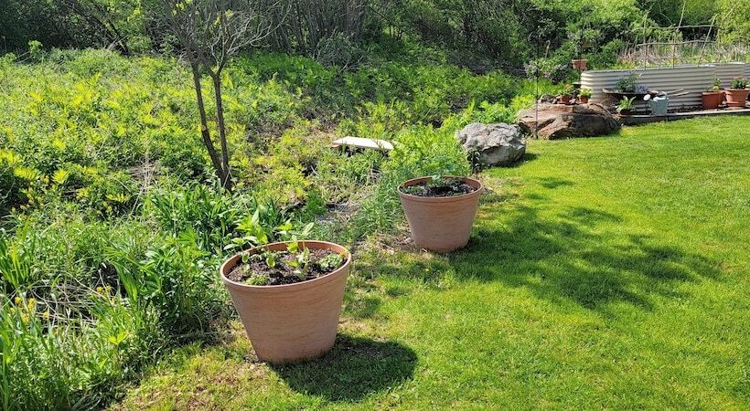 펜션 Hawks House Inn