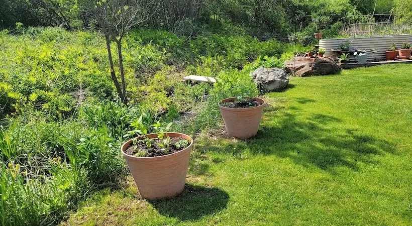 Majatalo Hawks House Inn