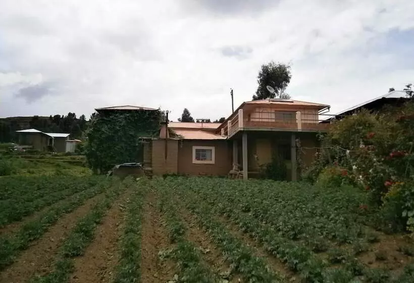 Majatalo Samay Wasi Salakancha