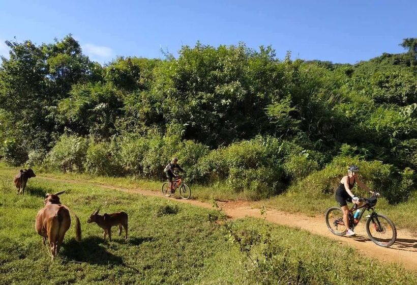 پانسیون The Villager Lodge