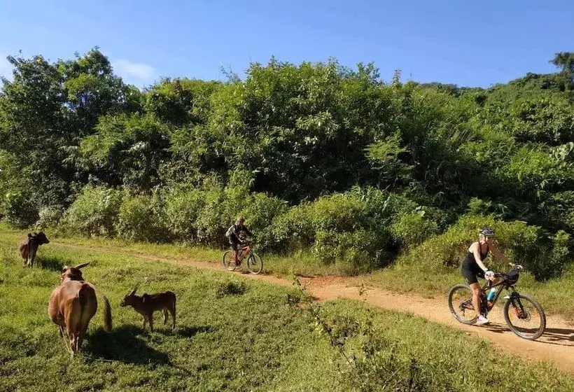 پانسیون The Villager Lodge