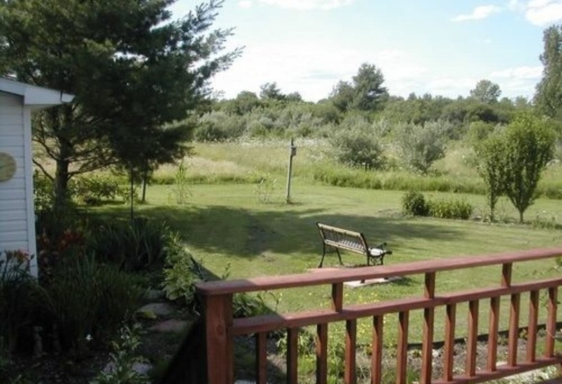 The Ginger Cat Bed & Breakfast