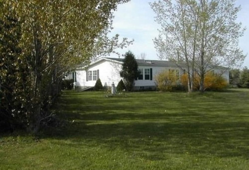 The Ginger Cat Bed & Breakfast