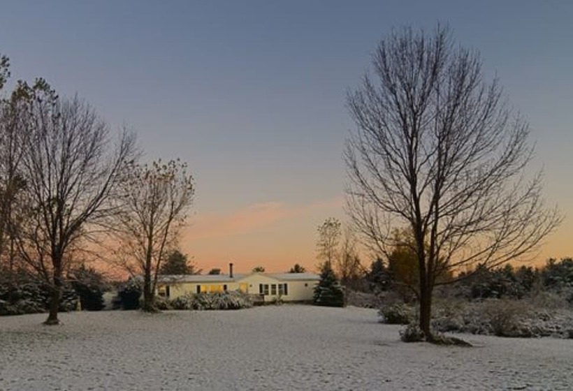 The Ginger Cat Bed & Breakfast