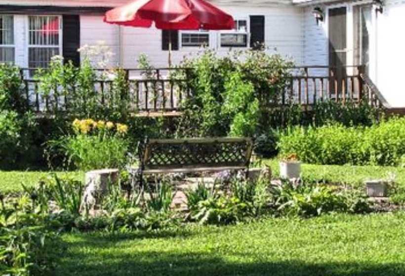 The Ginger Cat Bed & Breakfast