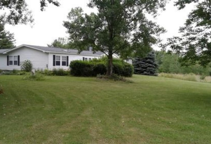 The Ginger Cat Bed & Breakfast