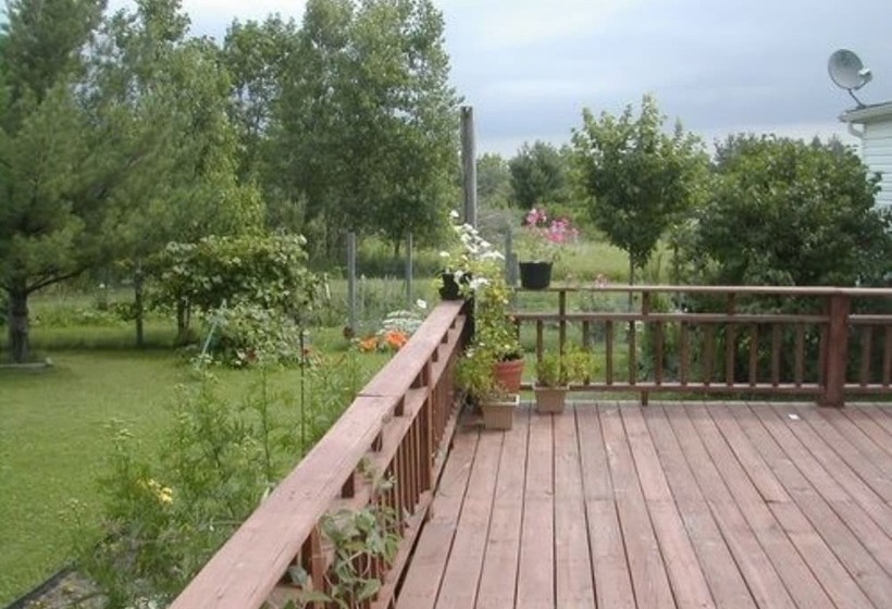 The Ginger Cat Bed & Breakfast