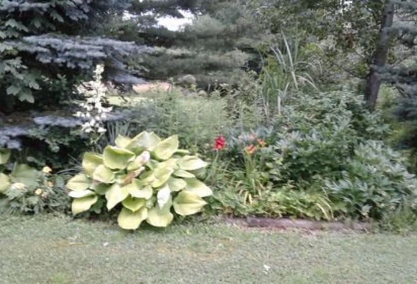 The Ginger Cat Bed & Breakfast