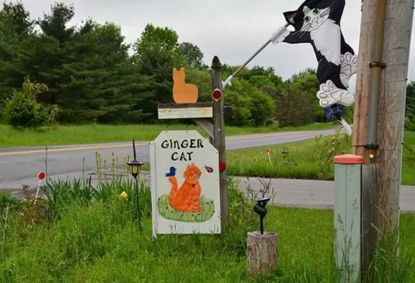 The Ginger Cat Bed & Breakfast