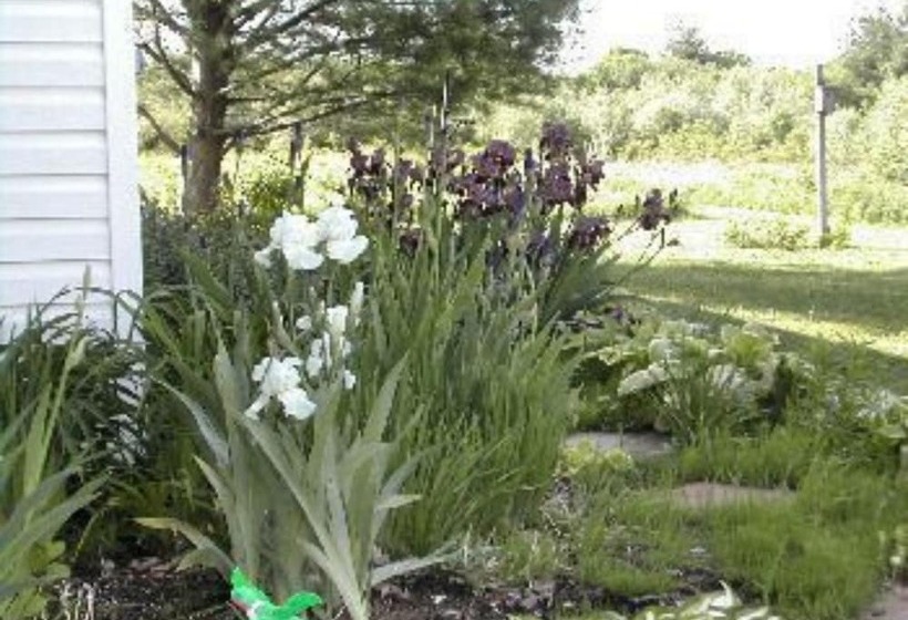 The Ginger Cat Bed & Breakfast