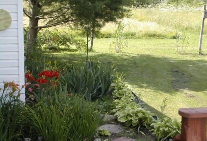 The Ginger Cat Bed & Breakfast