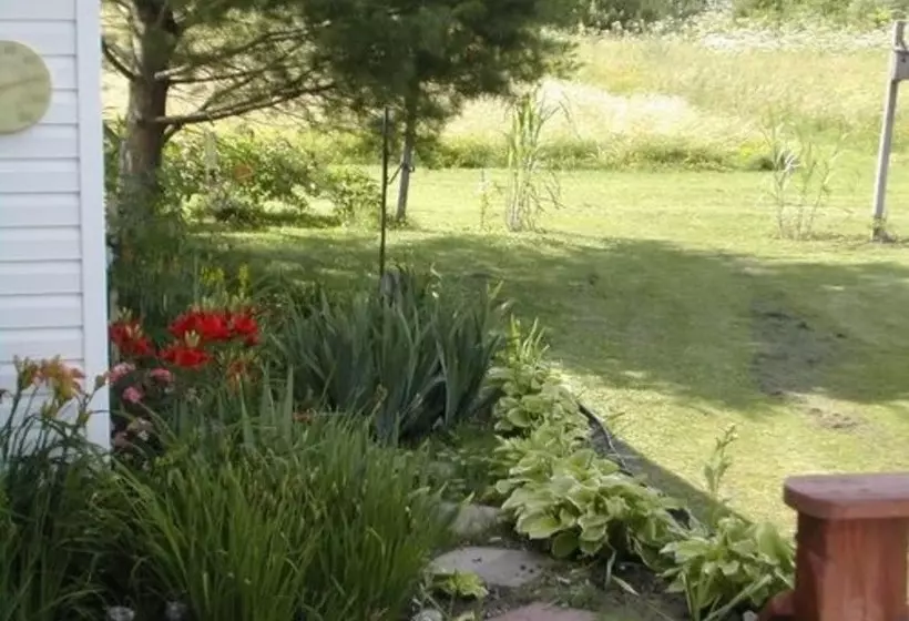 The Ginger Cat Bed & Breakfast
