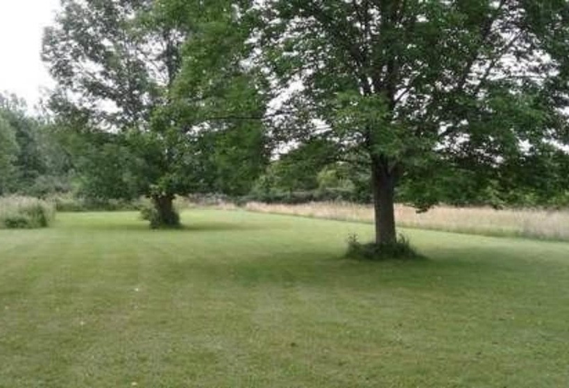 The Ginger Cat Bed & Breakfast