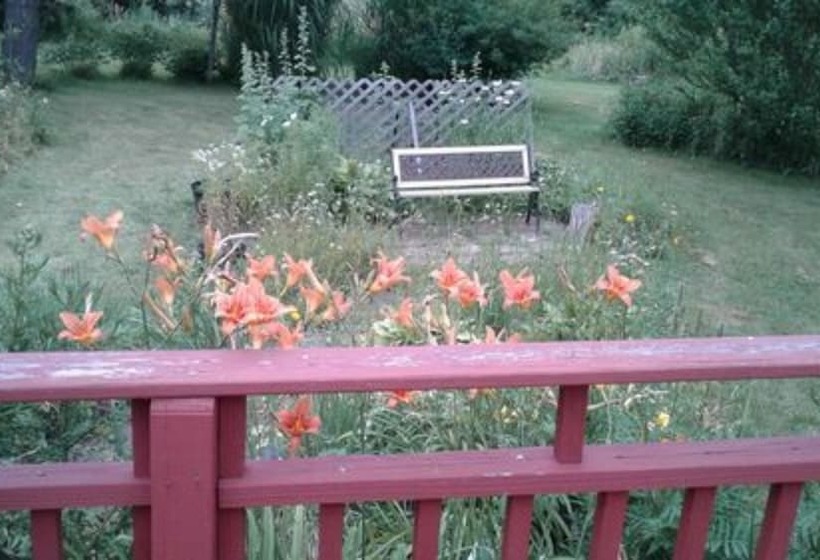 The Ginger Cat Bed & Breakfast