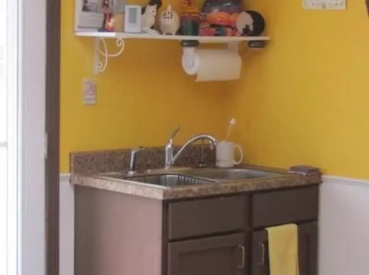 The Ginger Cat Bed & Breakfast