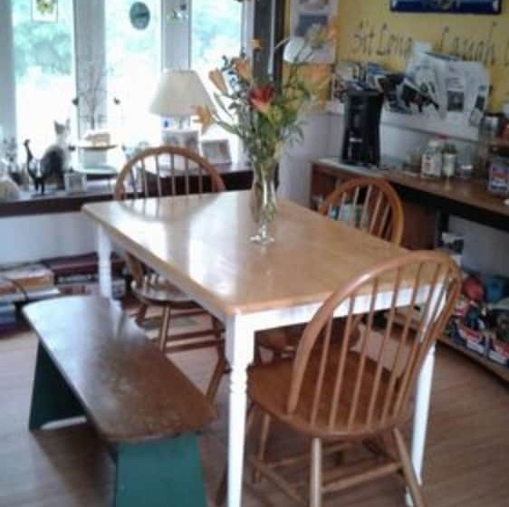 The Ginger Cat Bed & Breakfast