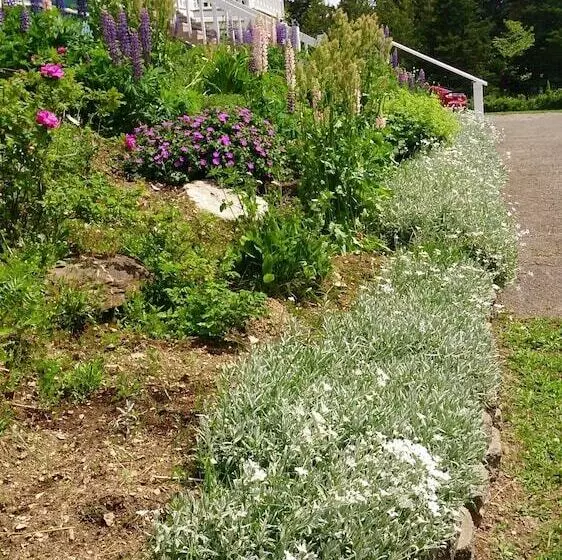 B&b Le Manoir Du Vieux Presbytère