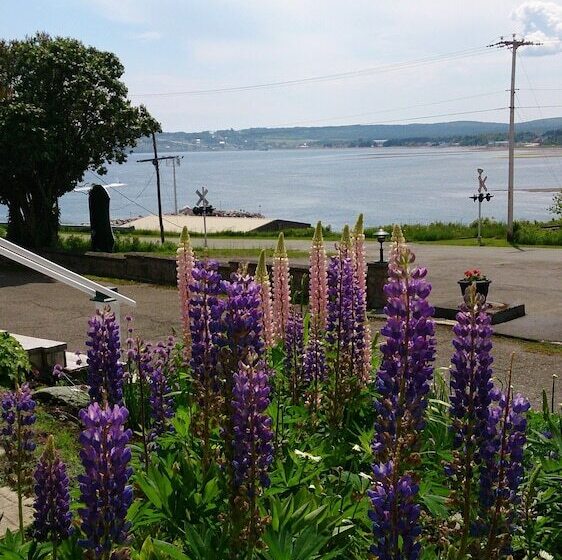 B&b Le Manoir Du Vieux Presbytère