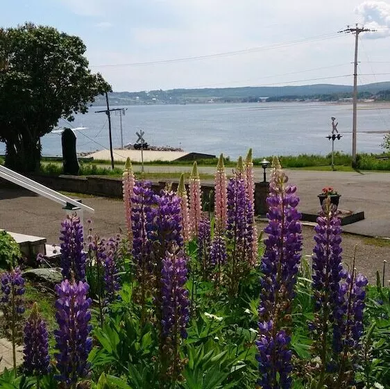 B&b Le Manoir Du Vieux Presbytère