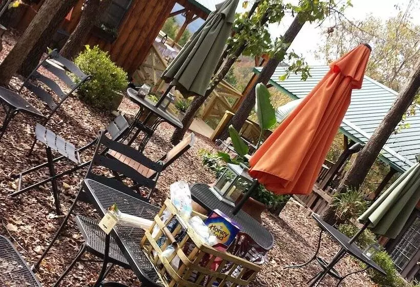 Bear Creek Lodge Cabin Resort