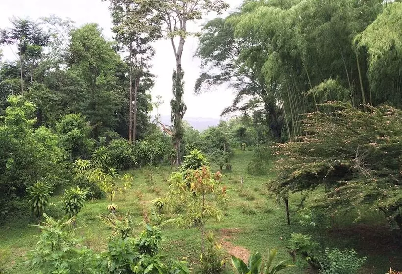 Aamiaismajoitus (B&B) A Little Paradise