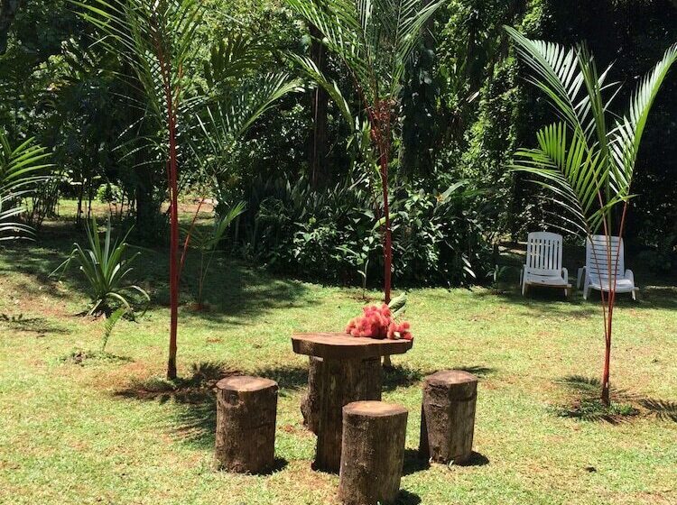 住宿加早餐  A Little Paradise