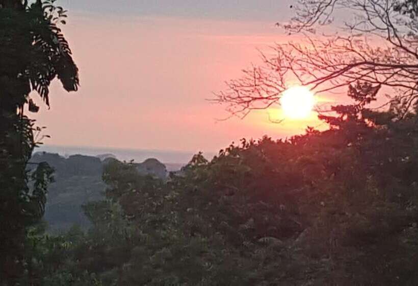 住宿加早餐  A Little Paradise