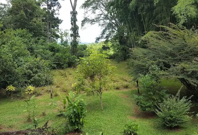 Aamiaismajoitus (B&B) A Little Paradise