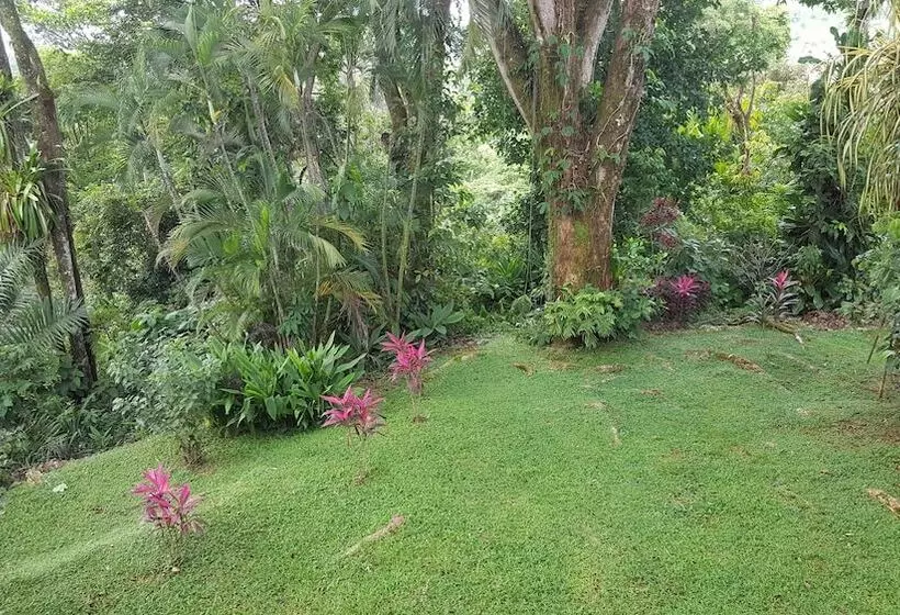 Aamiaismajoitus (B&B) A Little Paradise