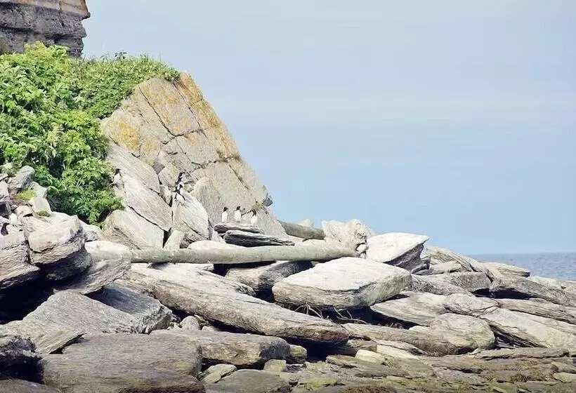 Aamiaismajoitus (B&B) Auberge De L île Aux Perroquets