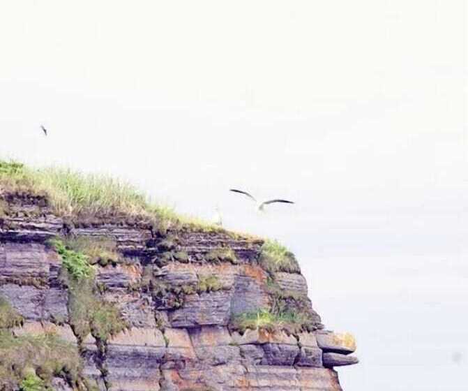 Bed and Breakfast Auberge De L île Aux Perroquets