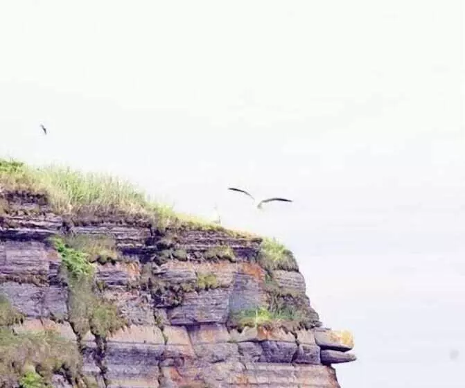 Aamiaismajoitus (B&B) Auberge De L île Aux Perroquets
