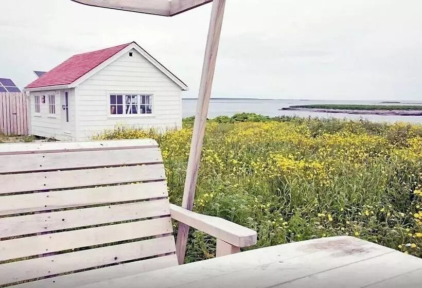 Aamiaismajoitus (B&B) Auberge De L île Aux Perroquets