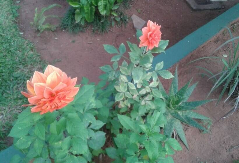 تختخواب و صبحانه Nueva Alborada Lodging House