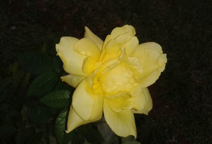 تختخواب و صبحانه Nueva Alborada Lodging House