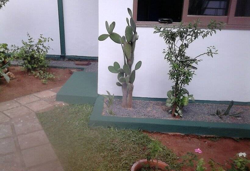 تختخواب و صبحانه Nueva Alborada Lodging House