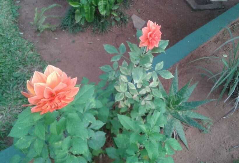 تختخواب و صبحانه Nueva Alborada Lodging House