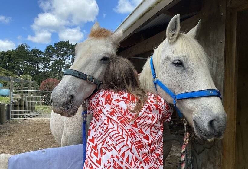 住宿加早餐 Pukeatua Farmstay
