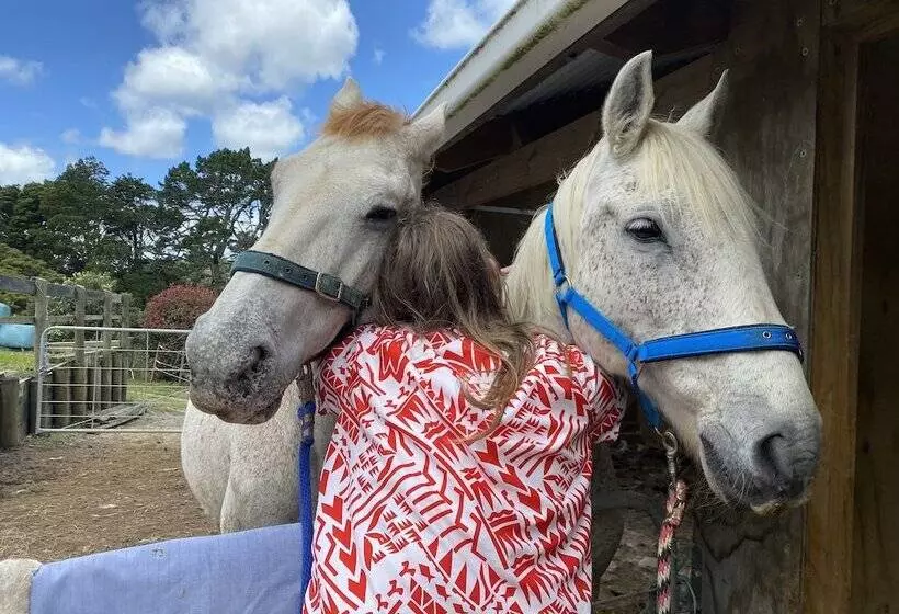 Aamiaismajoitus (B&B) Pukeatua Farmstay