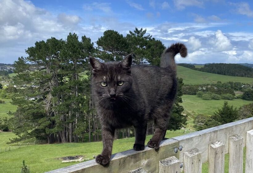 住宿加早餐 Pukeatua Farmstay