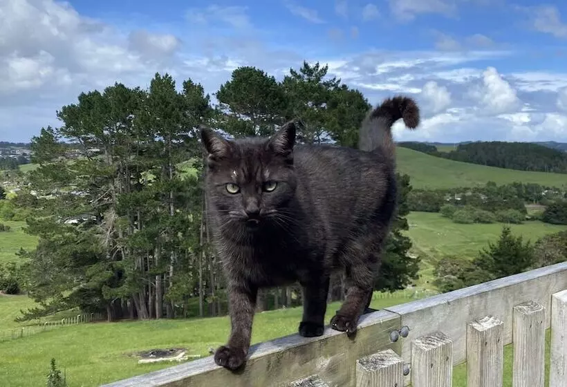 Aamiaismajoitus (B&B) Pukeatua Farmstay