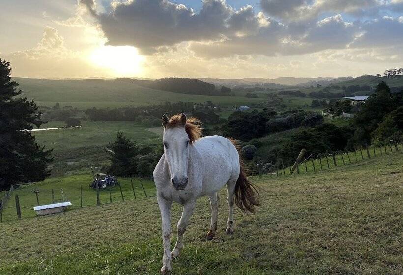 住宿加早餐 Pukeatua Farmstay