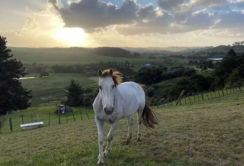 Aamiaismajoitus (B&B) Pukeatua Farmstay