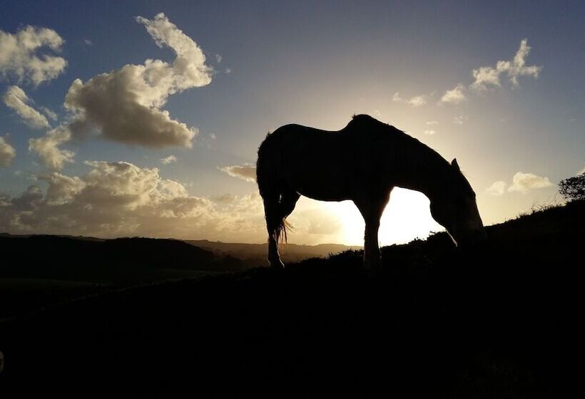 住宿加早餐 Pukeatua Farmstay