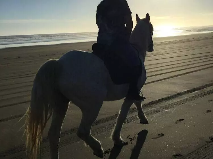 Aamiaismajoitus (B&B) Pukeatua Farmstay