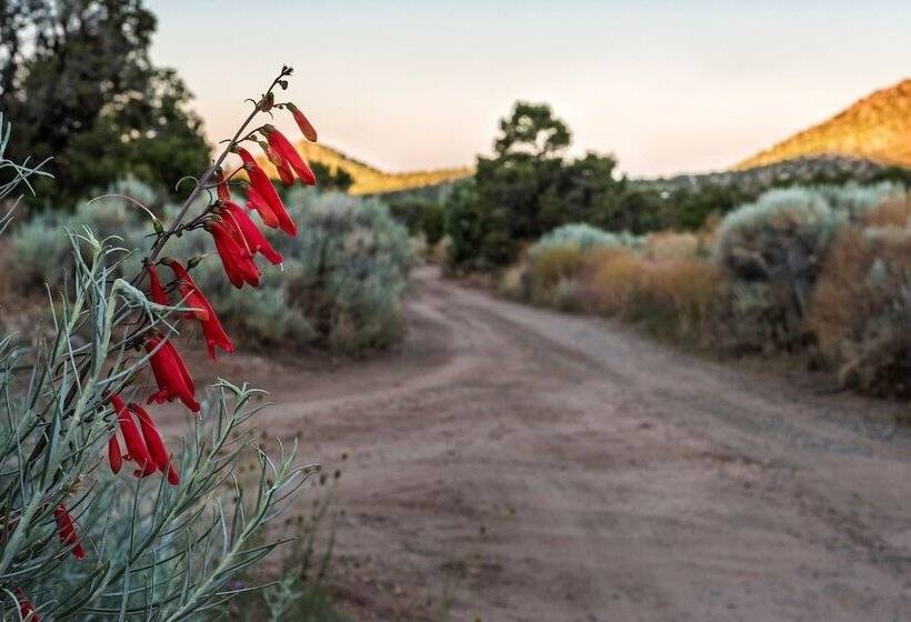 Bobcat Inn Bed And Breakfast