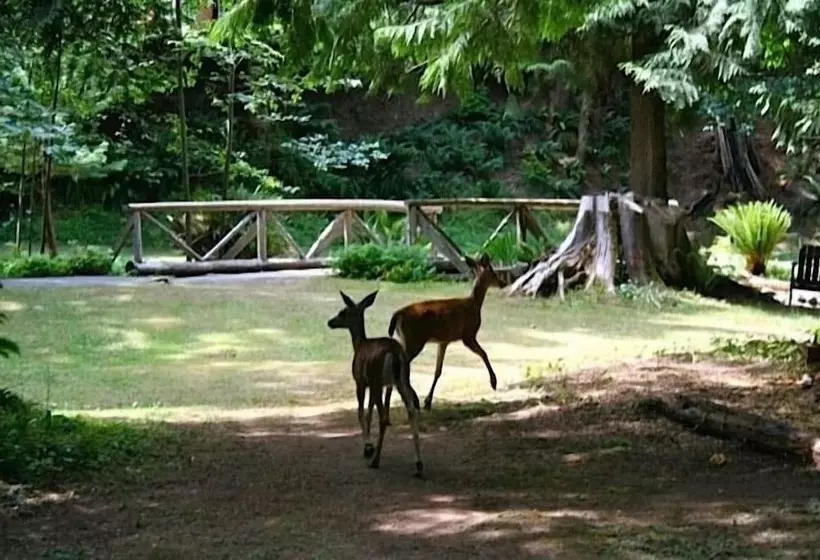 Creekside B & B