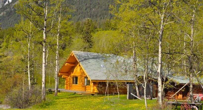 酒店 Chilko Lake Lodge