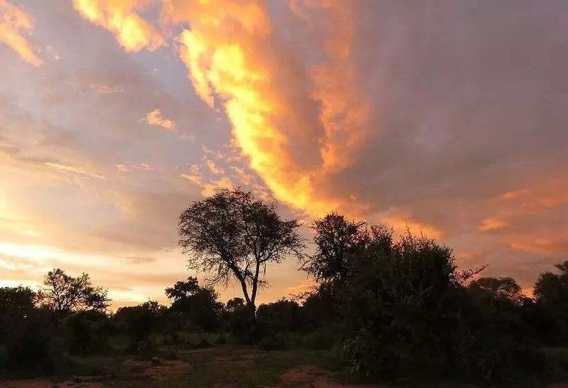 هتل Croc Valley Camp